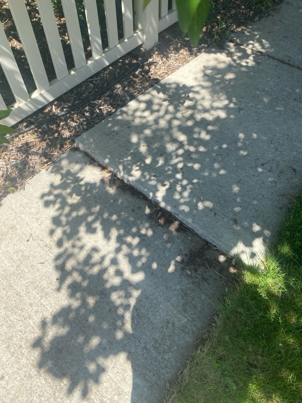 High Severity Trip Hazard